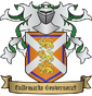 Tullemark coa