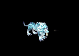 Pet17