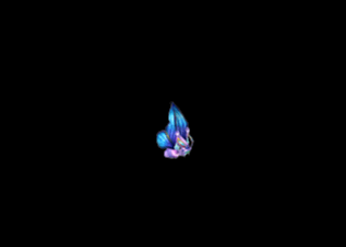 Pet6