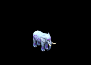Pet14