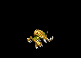 Pet40