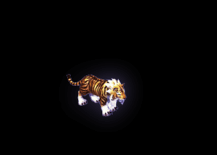Pet12