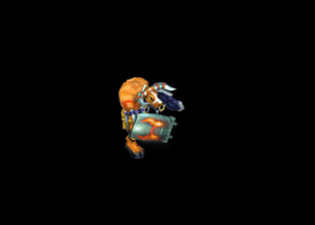 Pet21