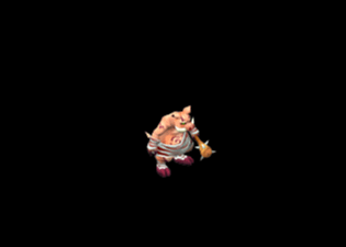 Pet13