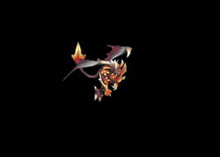 Pet16