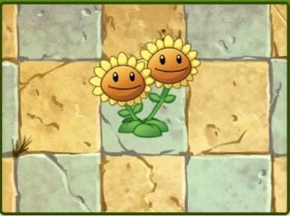 Primal Sunflower vs Sunflower Power-Up! in Plants vs Zombie 2 