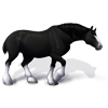 Clydesdale - Black