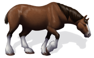 Clydesdale - Bay Equippable size