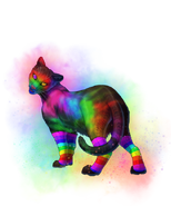 Rainbow Ocela (Standard)