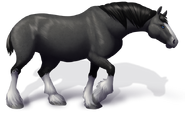 Clydesdale - Grey Equippable size