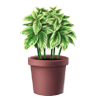 Potted Basil - Variegated Specific Garden Quests