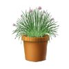 Potted Chives General Garden Quests