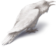 Cawing Harvest Crow - White Equipped