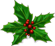 Holly Ornament - Natural Equipped