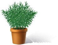 Potted Tarragon Equipped