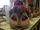 AATC Musical - Jeanette's Head.jpg