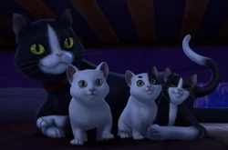 Miss Whiskers and her kittens