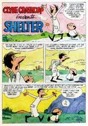 Invents Shelter
