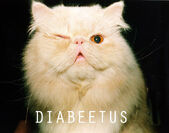 Diabeetus