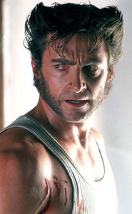 Wolverine