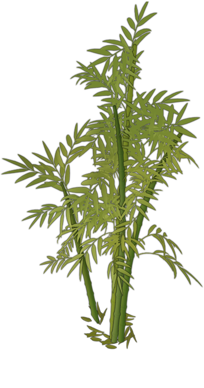 Bamboo (Plant) | Amazing Cultivation Simulator Wiki