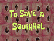 To Save a Squirrel