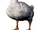 Aflac Duck