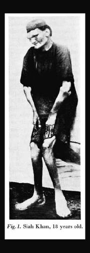 Siahkhan (13).jpg