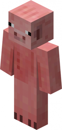 Pigman Skin