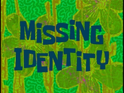Missing Identity.png