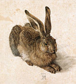 150px-Durer Young Hare