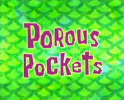 Porous Pockets