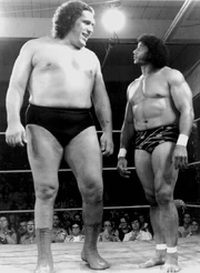 Andrethegiant (57)
