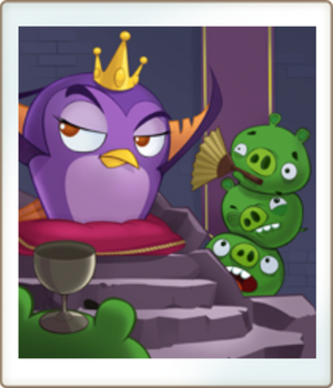 Angry birds stella album picture of gale with her pig subjects