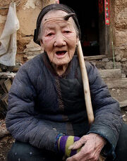 Zhang Ruifang.jpg