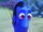 Dory
