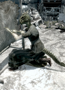 Shahvee elder scrolls 5 skyrim elder scrolls v skyrim npc argonian