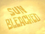 Sun Bleached.png