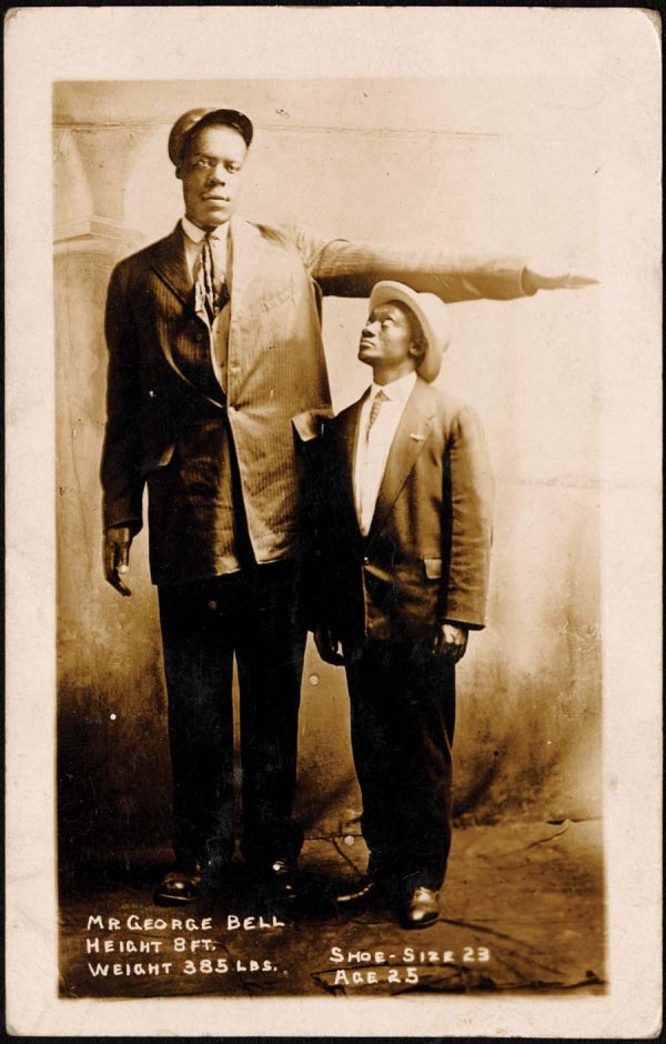 George Bell (7'5), The Amazing Everything Wiki
