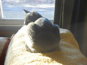 DSCN0877.jpg