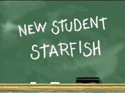 300px-New Student Starfish