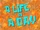 A Life in a Day