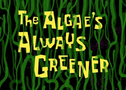 The Algae's Always Greener.png