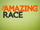 The Amazing Race 22