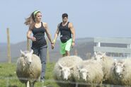 Brooke & Robbie herding sheep in the third leg.