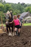 Trey & Lexi doing the Plow Detour in the eleventh leg.