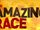 The Amazing Race 19