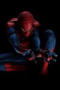 The-Amazing-Spider-Man 08c96c7e