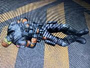 Oscorp Sergeant