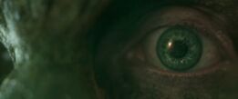 Lizard cured eye.jpg